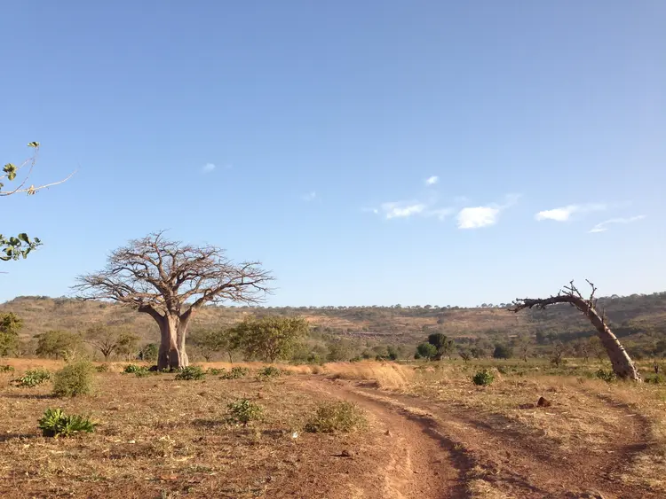 Xasama silo, silo be yirolu hulante la. 